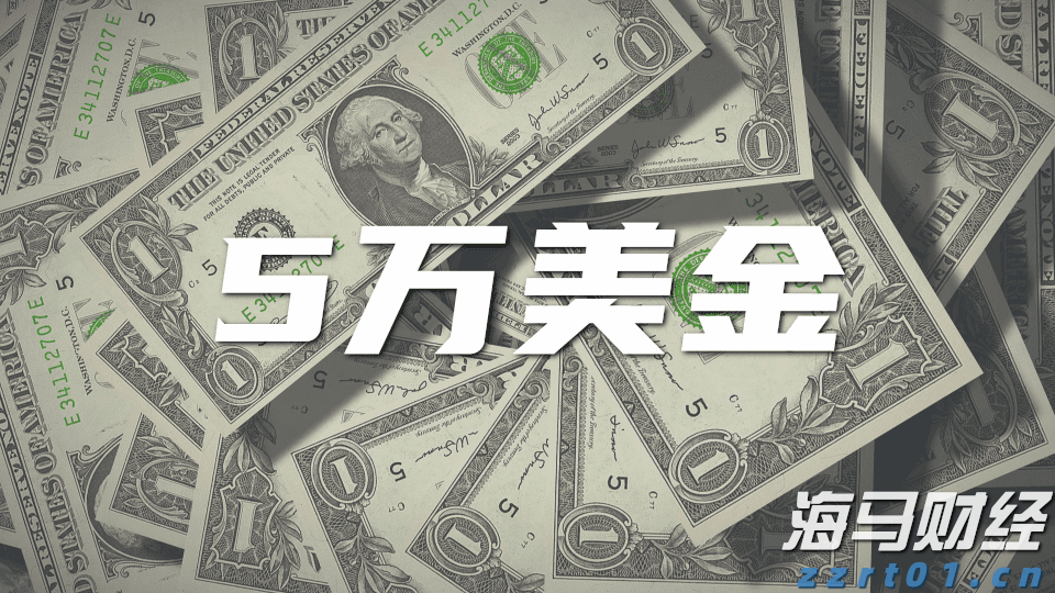 深耕创作沃土 讲好徐闻故事