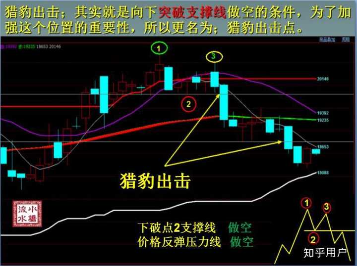 医我看丨基孔肯雅热不会人传人！该病毒典型症状出现有顺序，如何判断自己该就医？