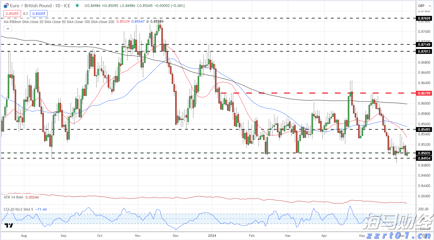 梅州海关供港澳活猪远程检疫监装模式正式启动
